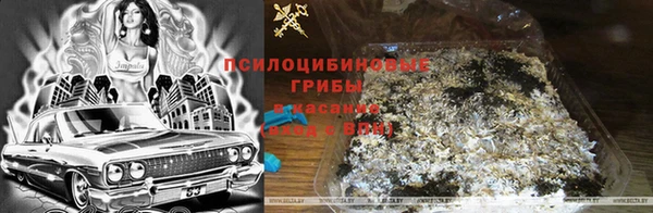 крисы Балахна
