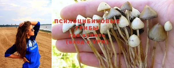 трава Баксан