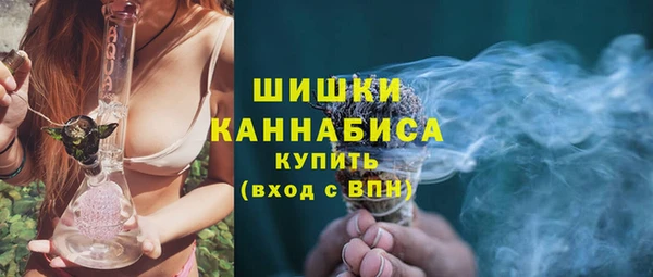 ГАЛЛЮЦИНОГЕННЫЕ ГРИБЫ Балабаново