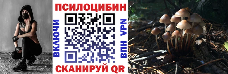 KRAKEN tor закладки Новое Девяткино Галлюциногенные грибы прущие грибы
